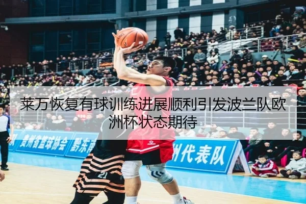 莱万恢复有球训练进展顺利引发波兰队欧洲杯状态期待